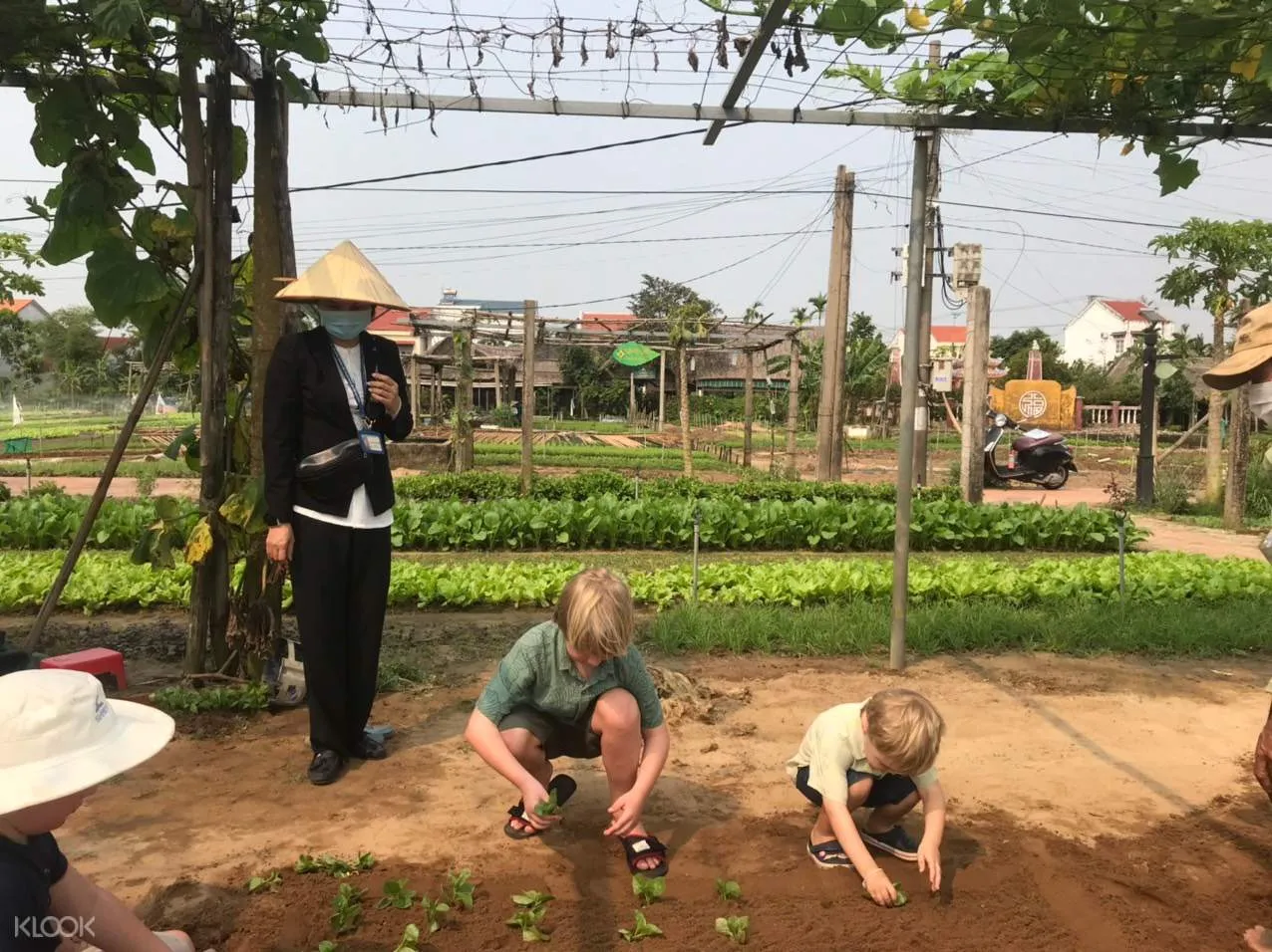 Vé Tham Quan Phố Cổ Hội An 1